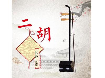 招聘内江二胡家教老师